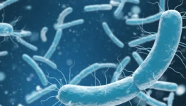 parasitas-intestinais-o-que-sao