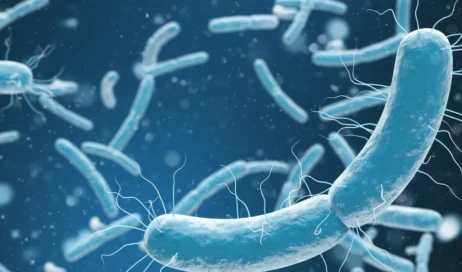 parasitas-intestinais-o-que-sao