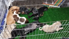 cef75243-ba56-499f-a977-1e7f10a78888