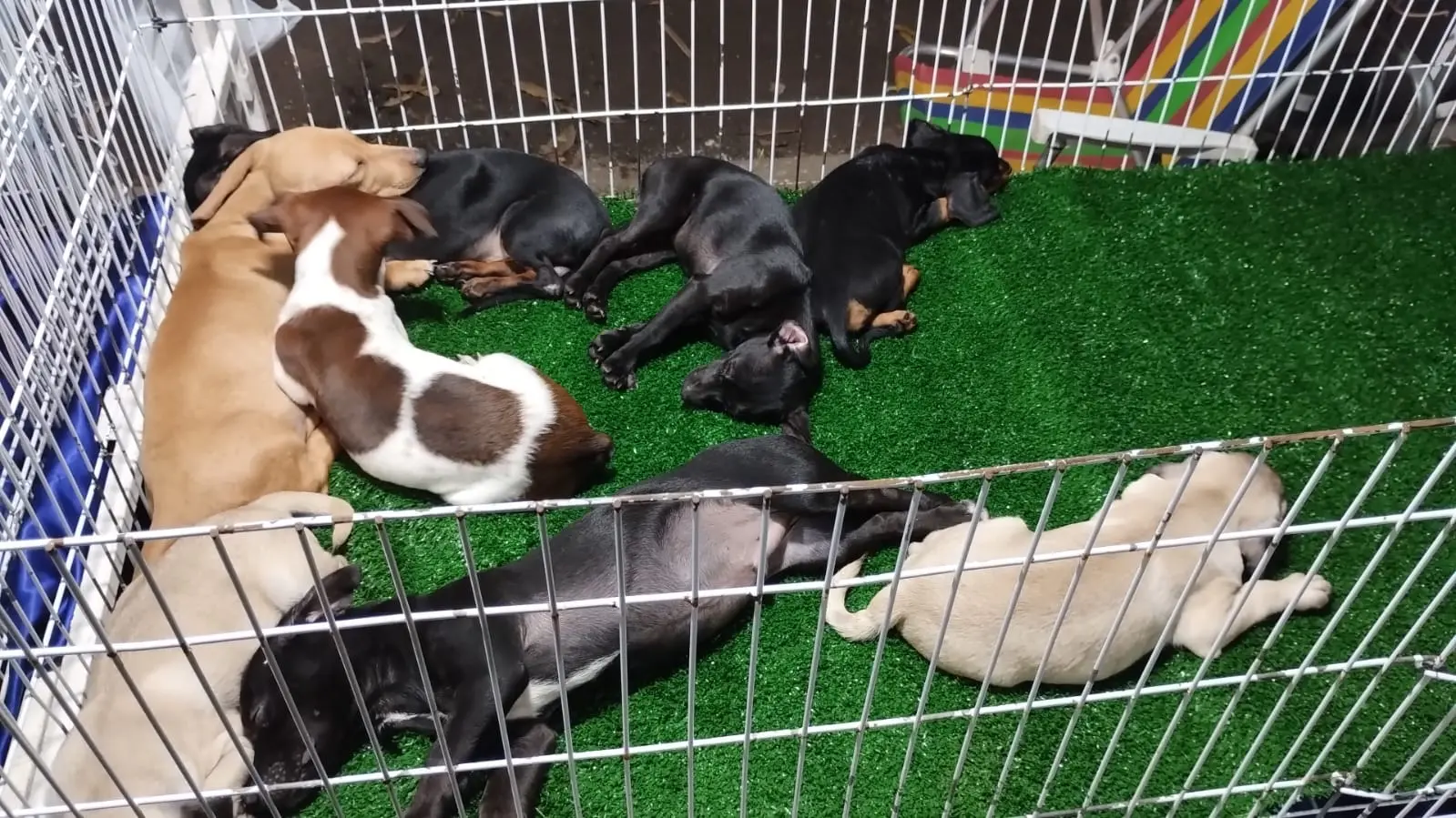 cef75243-ba56-499f-a977-1e7f10a78888