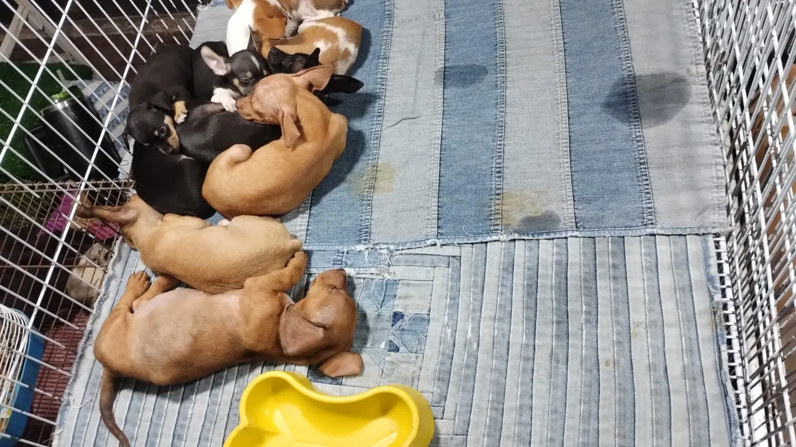 dcad7a01-7ec5-440c-bed2-7d1cd2fa31aa