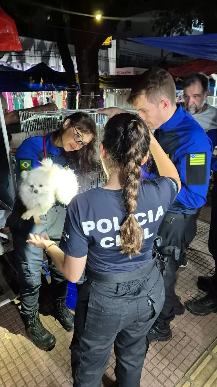 3e33bba8-07db-4b7a-b5e6-be4bbb09e4f3