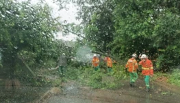 WhatsApp Image 2026-04-01 at 07.23.45