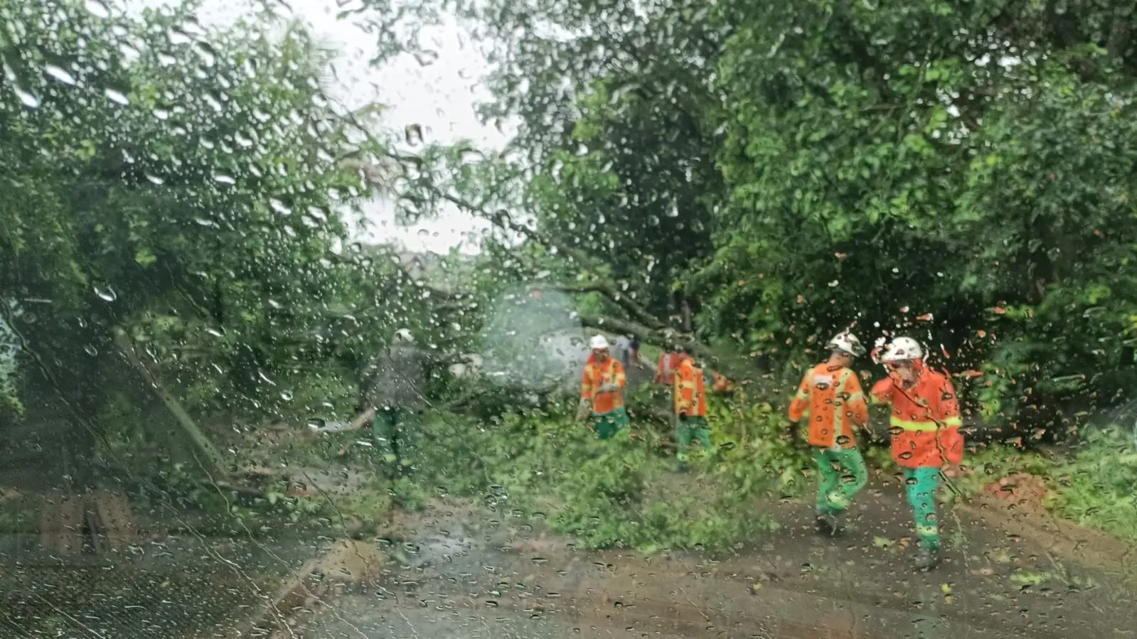 WhatsApp Image 2026-04-01 at 07.23.45