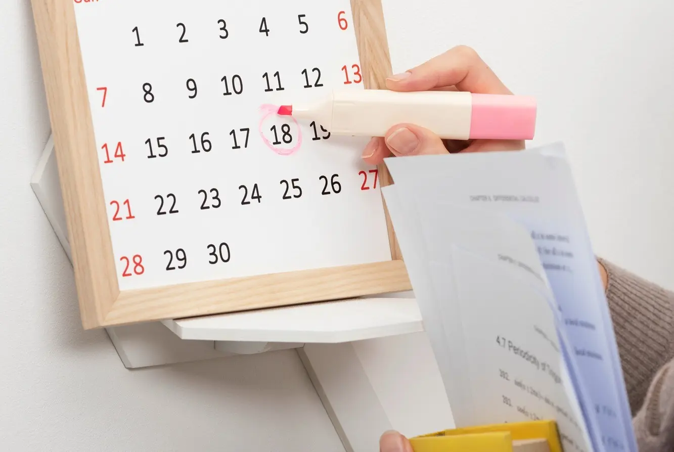 WhatsApp Image 2026-04-01 at 14.13.36