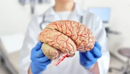 istockphoto-2197672389-612x612-1