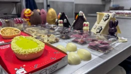 WhatsApp Image 2026-04-02 at 15.36.15