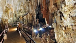 16690504970JR7uS0euA