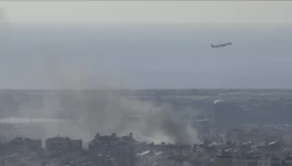 thumbs_b_c_6a16247f8bef4c54e34c149702a2d65a