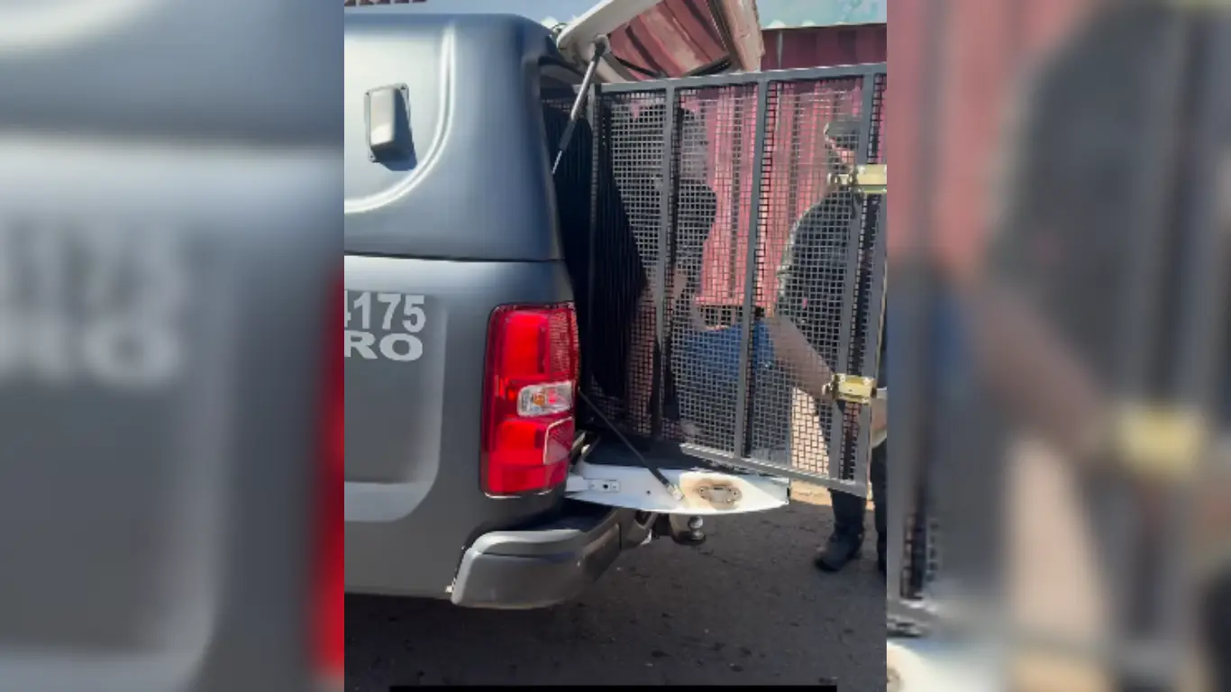 Irmãos são presos em Goiânia por suspeita de golpe do falso boleto