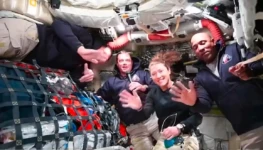 WhatsApp Image 2026-04-04 at 11.50.38