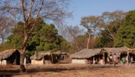 lalunga-910x474-1-750x375