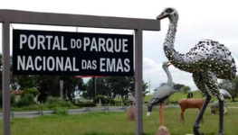 WhatsApp Image 2026-04-09 at 14.25.03