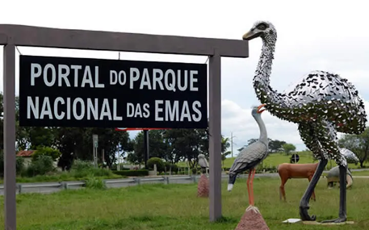 WhatsApp Image 2026-04-09 at 14.25.03