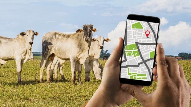 20221020_rastreabilidade-1