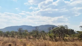 Cerrado goiano na região da Chapa dos Veadeiros