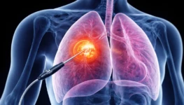 WhatsApp Image 2026-04-13 at 15.49.04