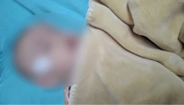 Cópia de Capa Site - Modelo (3)