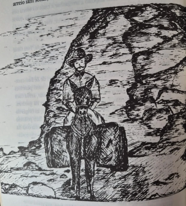 Bento Fleury ilustração do livro Sertao Goiano