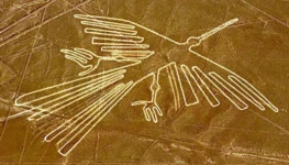 WhatsApp Image 2026-04-15 at 14.17.56