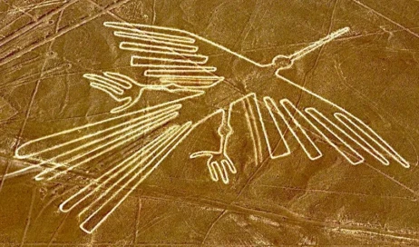 WhatsApp Image 2026-04-15 at 14.17.56