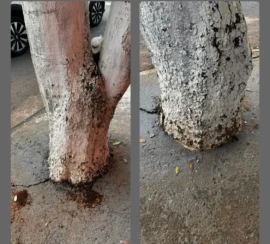 WhatsApp Image 2026-04-16 at 16.17.55