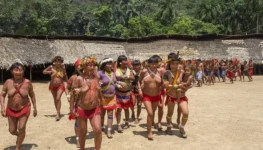 image_processing20250226-2-wwe6dh