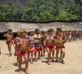 image_processing20250226-2-wwe6dh