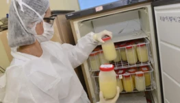 Banco_de_Leite_1-93c