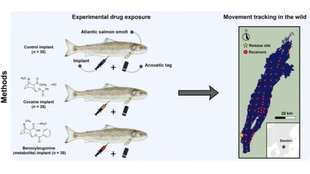 Charu Chandan Blood Drip (7)
