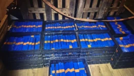 5dbb7132-ba00-4015-85ba-56562c81804a