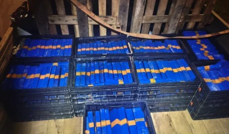 5dbb7132-ba00-4015-85ba-56562c81804a