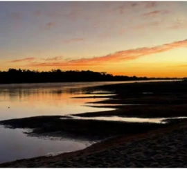 Amanhacer no Rio Araguaia Foto de Fernando Cupertino 2 868