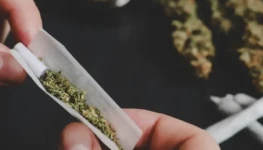 maconha-tratamento-desintoxicacao-1-600x400