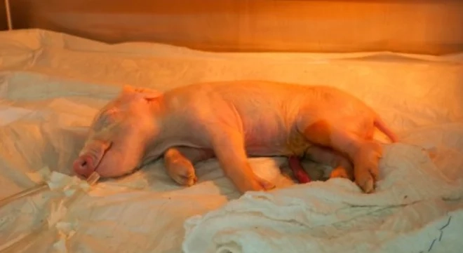 Captura-de-Tela-2026-04-23-as-10.27.52