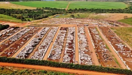 WhatsApp-Image-2024-03-05-at-12.00.45