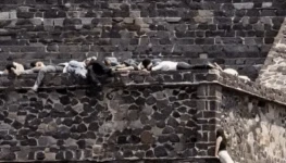 Captura de Tela 2026-04-24 às 17.08.10