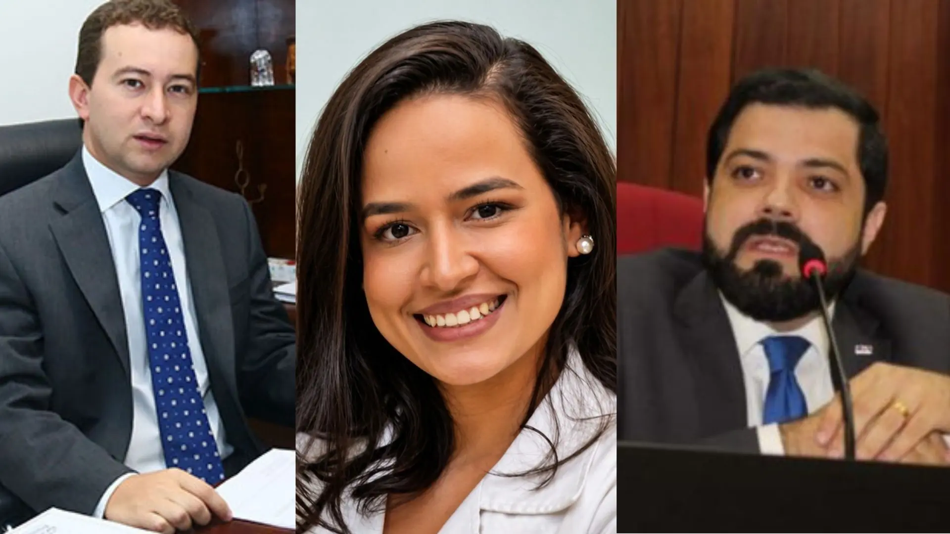 maior parte das propostas, com 11 menções, refere-se e a instituições de ensino e visam estabelecer a obrigatoriedade do estudo da Bíblia na grade curricular escolar (1)