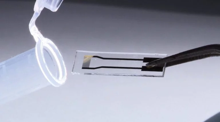 Sensor brasileiro diagnostica câncer de pâncreas em 10 minutos