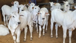 WhatsApp Image 2026-04-28 at 15.04.48