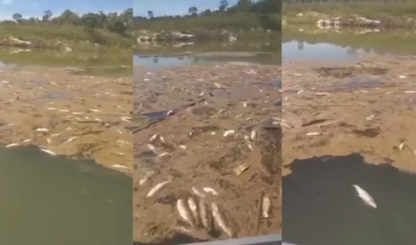 Cópia de Capa Site - Modelo (12)