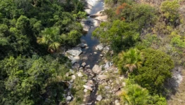 PARQUE-ESTADUAL-SERRA-DOURADA-1200x600-c-default