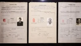 mengele