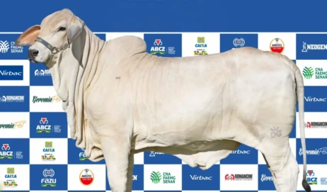 Cópia de Capa Site - Modelo (41)