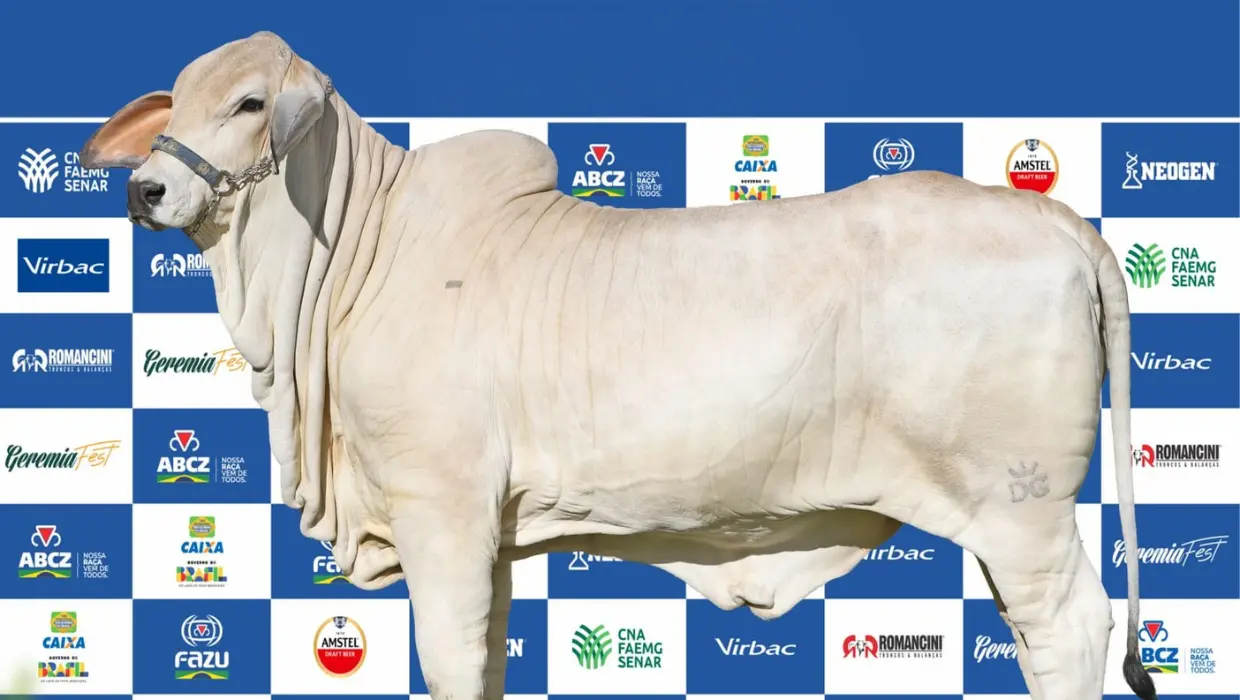 Cópia de Capa Site - Modelo (41)