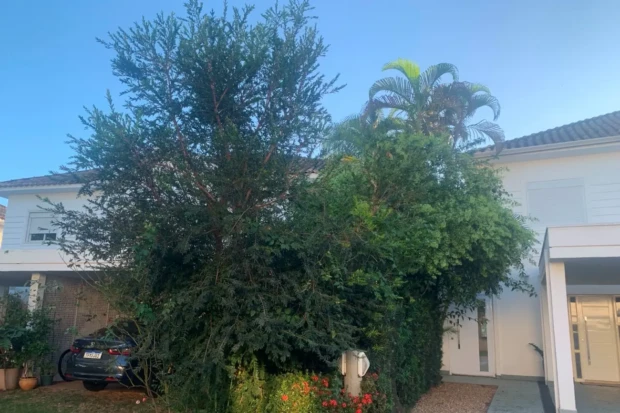 Floresta particular do Euler de França Belém 0k2 2026 1300 por 866