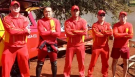 goiania e.pdf