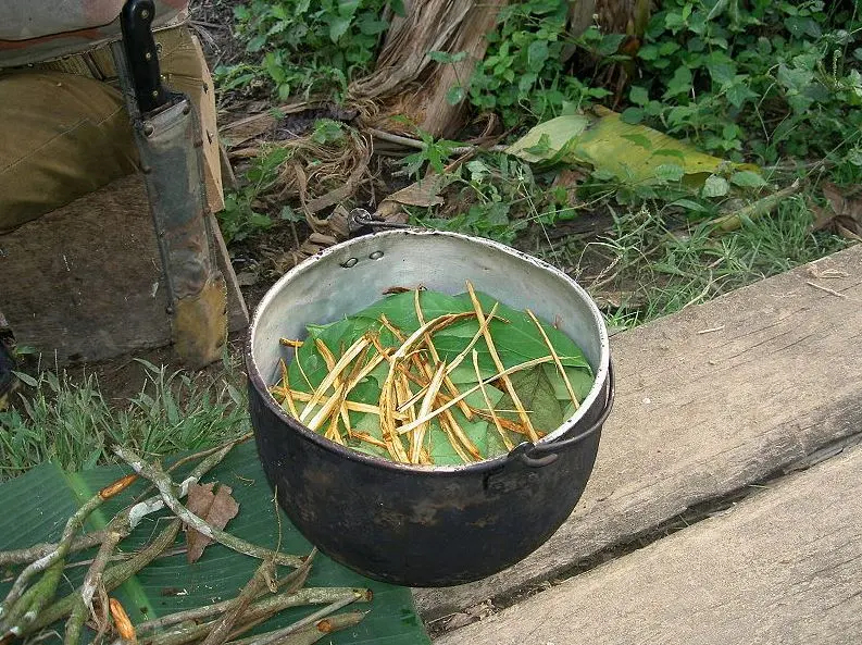 ayahuasca_binary_21340