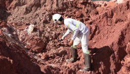 Geologist