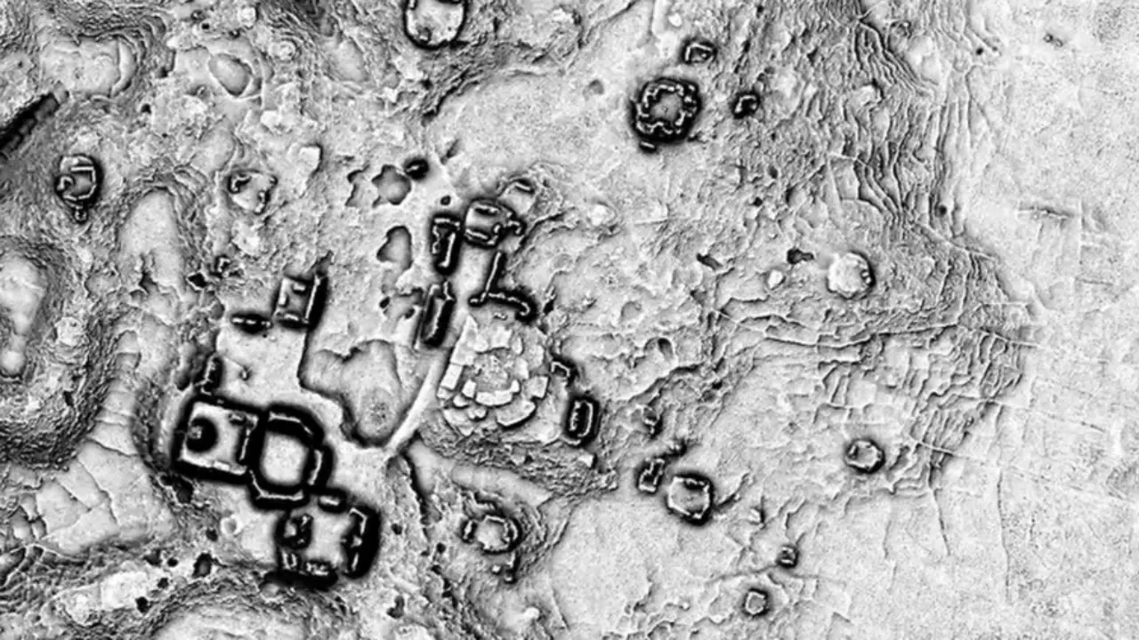 maia-8